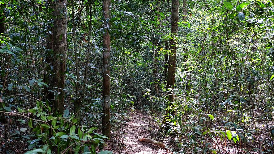 13-phu quoc_60